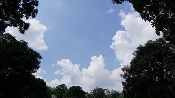 权威深度！马来西亚博特拉大学统计学课程设置：数据科学课程详解